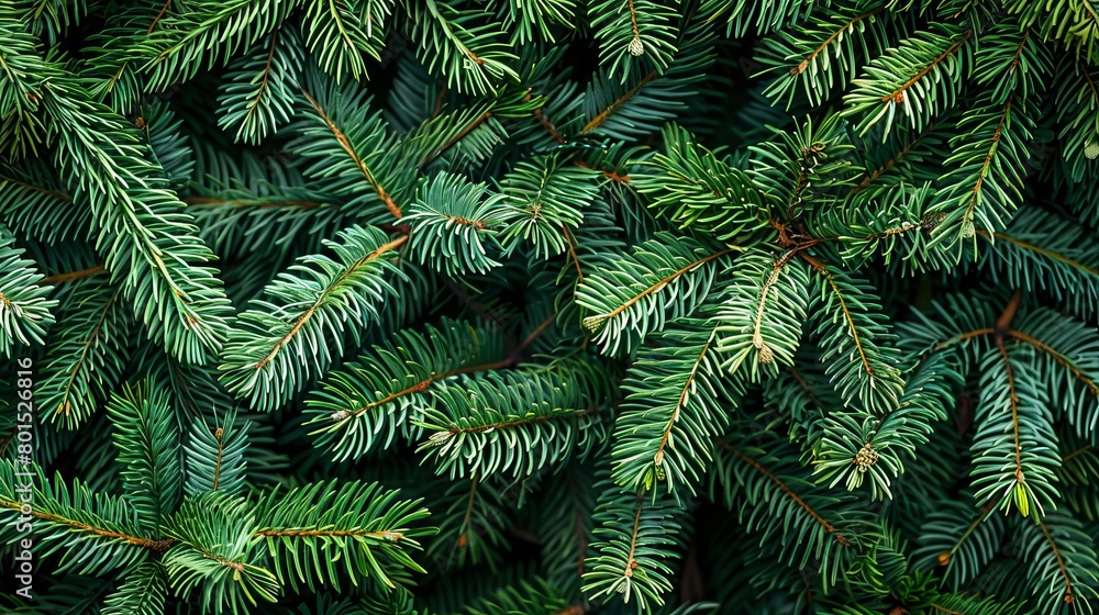Poster seamless pattern of evergreen fir tree branches christmas background texture without decorations