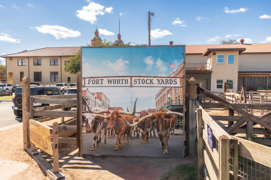 Longhorn banner next to the Longhorn pens in the historic Fort Worth Stockyards.