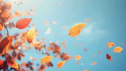 Autumn leaves on blue sky background. Fall season concept