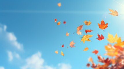 Autumn leaves on blue sky background. Fall concept