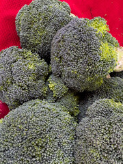 Vibrant green heads of fresh organic broccoli are stacked on a table for sale at a grocery store.  The broccoli has specks of yellow in the cabbage flower head. The lush green vegetable is fresh.