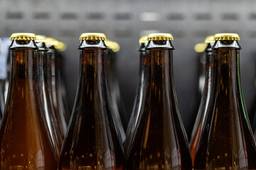 Multiple rows of long sleek neck brown beer bottles. The craft beer bottles are filled with a cold...