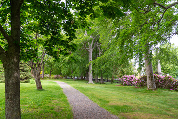 A gravel stone footpath through a small park with a vibrant green grass lawn and tall trees on both sides of the park trail.  The evergreen trees are casting shadows across the narrow walking path. 