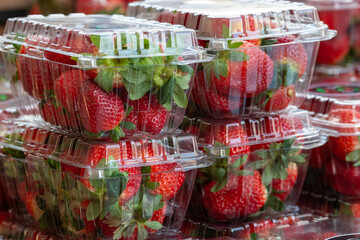 Clear plastic containers of fresh red, ripe strawberries with the stems still on them. The packages are stacked on top of each other on a grocery store shelf.  The berries are firm, rich, and vibrant.