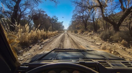 a view from a vehicle of a dirt road and trees in the distance with a blue sky in the background..