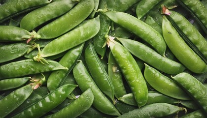 green peas in pods on a dark background, top view. Proper nutrition and healthy vegetables and vitamins.
