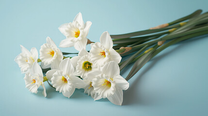 Elegant White Daffodils on a Bright Blue Background