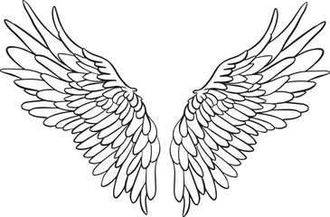 Feather Wings in the form of Angel or Dragon Illustration in Vector