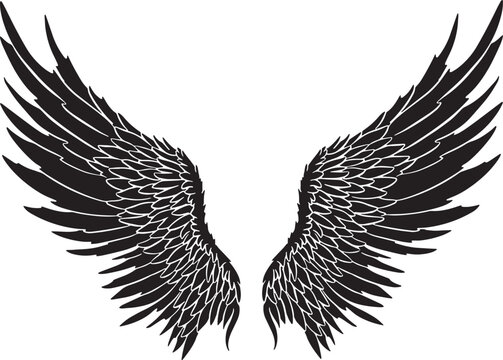 recommend clip art: Feather Wings in the form of Angel or Dragon Illustration in Vector