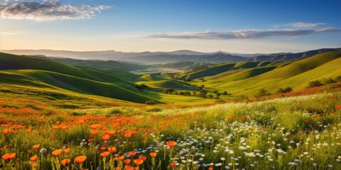 Vibrant spring landscape with rolling hills and wildflowers