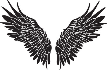 Feather Wings in the form of Angel or Dragon Illustration in Vector