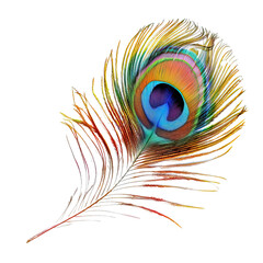 Obraz premium Vibrant Peacock Feather isolated on white or transparent background