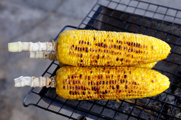 grilled corn on the grill