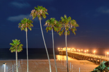 Palm trees and pier in Manhattan Beach at night. Fashion travel and tropical beach concept.	