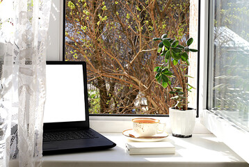 A cup of tea, a computer, a crassula flower in pots on a sunny window. Concept of home coziness, comfort and home office. Computer mobility and healthy lifestyle, selective focus.