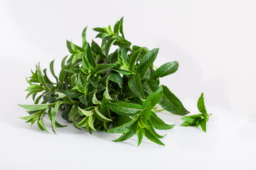 Fresh spearmint leaves isolated on the white background. Mint, peppermint close up