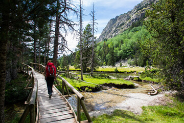 Young hiker woman in Vall de Boi, Aiguestortes and Sant Maurici National Park, Spain