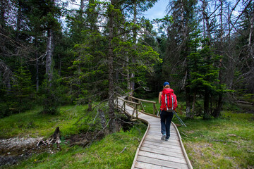 Young hiker woman in Vall de Boi, Aiguestortes and Sant Maurici National Park, Spain