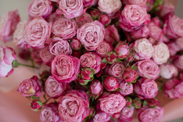 a beautiful bouquet of pink bush roses in a package, a wonderful gift for the holiday