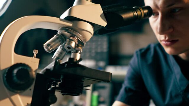 in a veterinary clinic veterinarian checks and adjusts the microscope
