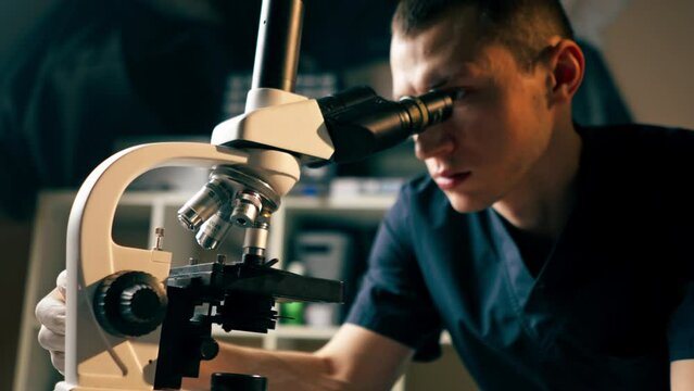 in a veterinary clinic a veterinarian doctor checks a smear for infections