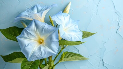   A light blue background features a bouquet of blue and white flowers with verdant green leaves and water droplets gracefully resting on their petals