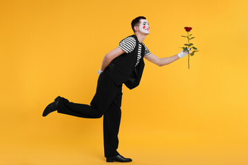 Funny mime artist with red rose posing on orange background