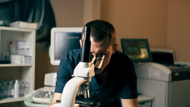 in a veterinary clinic a veterinarian doctor checks a smear for infections