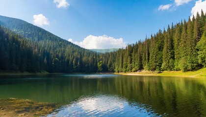lake of synevyr national park in summer forested hills of carpathian mountains reflecting on the calm water surface sunny weather popular travel destination of ukraine