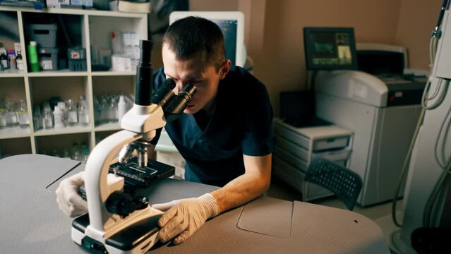 in a veterinary clinic a veterinarian doctor checks a smear for infections
