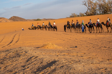 sand dunes in the desert Morocco 