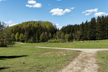 landscape in the mountains