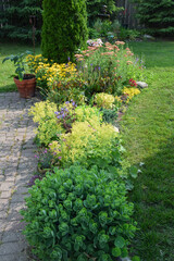 Flower bed with perennial plants in a backyard garden in the summer