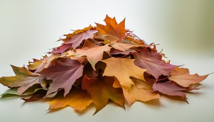 pile of autumn colored leaves isolated on transparent background colorful foliage of maple leaves in the fall season 3d