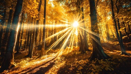 golden autumn mood in the forest with effective sun rays created with generative ai technology - Powered by Adobe