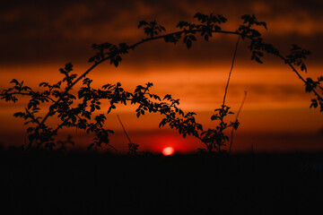 schöner Sonnenuntergang auf der Ostseeinsel Fehmarn im Frühling, Der Himmel leuchtet rot 