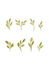 Branches in abstract style. Isolated simple design element. Olive branches in watercolor. Silhouette illustration