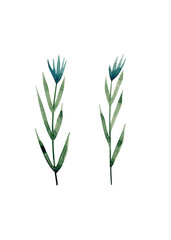 Isolated blue wildflowers for textile design. Flower set. Summer illustration. Watercolor texture