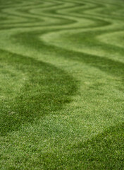 Neatly mown lawn with unusual wavy stripe. Photographed in springtime at Wisley garden, Woking, Surrey, UK.