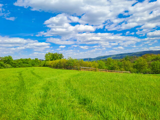 Blue sky and beautiful cloud with meadow tree. Plain landscape background
