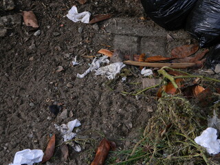 Waste that can damage the environment is often found in urban areas with poor waste management