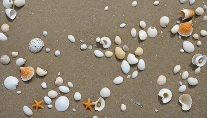 Marine Magic - Discover the Enchanting Beauty of Coastal Design and Aquatic Life