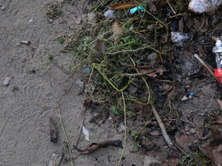 Waste that can damage the environment is often found in urban areas with poor waste management