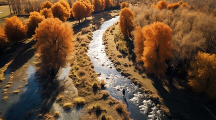 Birds-eye view of winding river cutting through lush forest surrounded by tall green trees. Drone view of autumn forest 