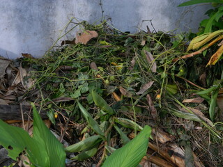 Waste that can damage the environment is often found in urban areas with poor waste management