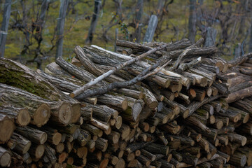 Firewood stack in garden