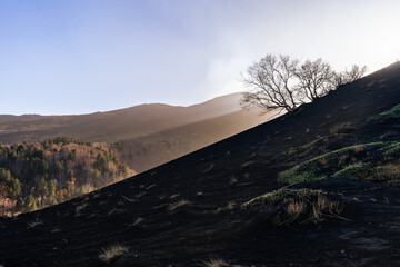 les pentes noirs d'un cratère volcanique à contre jour avec la silhouette d'un arbre 