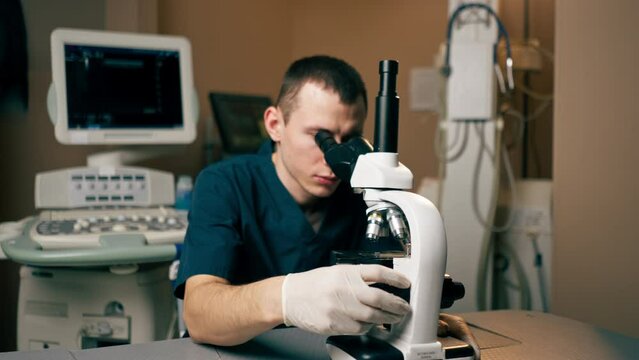 in a veterinary clinic a veterinarian doctor checks a smear for infections