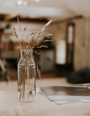 Wheat branches in glass vase