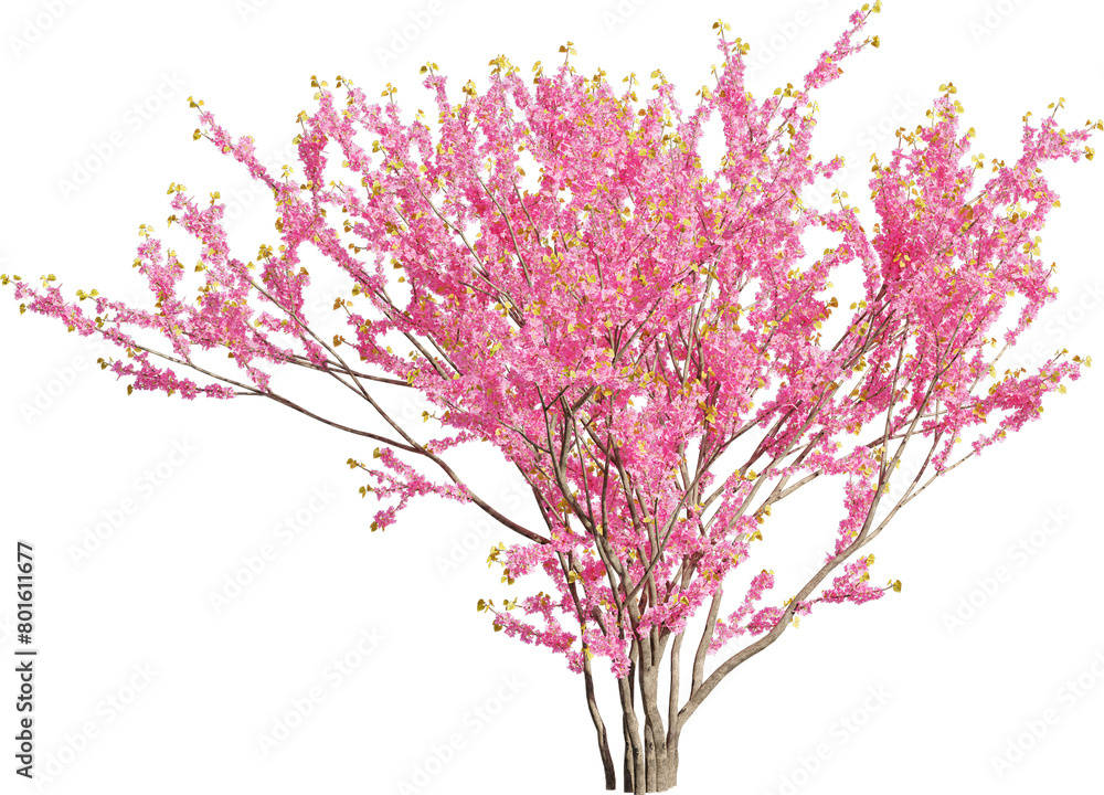 Poster realistic 3d rendering of a tree on transparent background, suitable for architecture visualization,